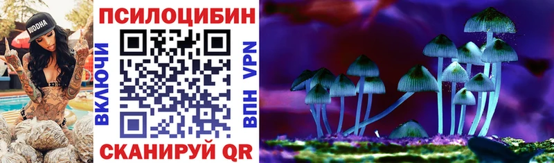 Псилоцибиновые грибы мицелий  omg вход  Таштагол 